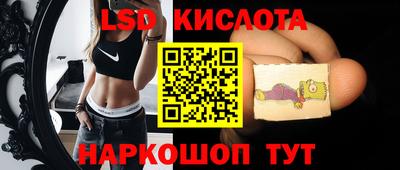 индика Заводоуковск