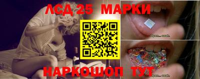 индика Заводоуковск