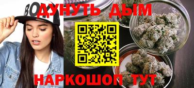 сатива Заволжье