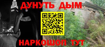 индика Заводоуковск