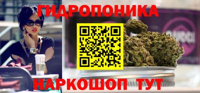индика Заводоуковск