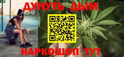 индика Заводоуковск