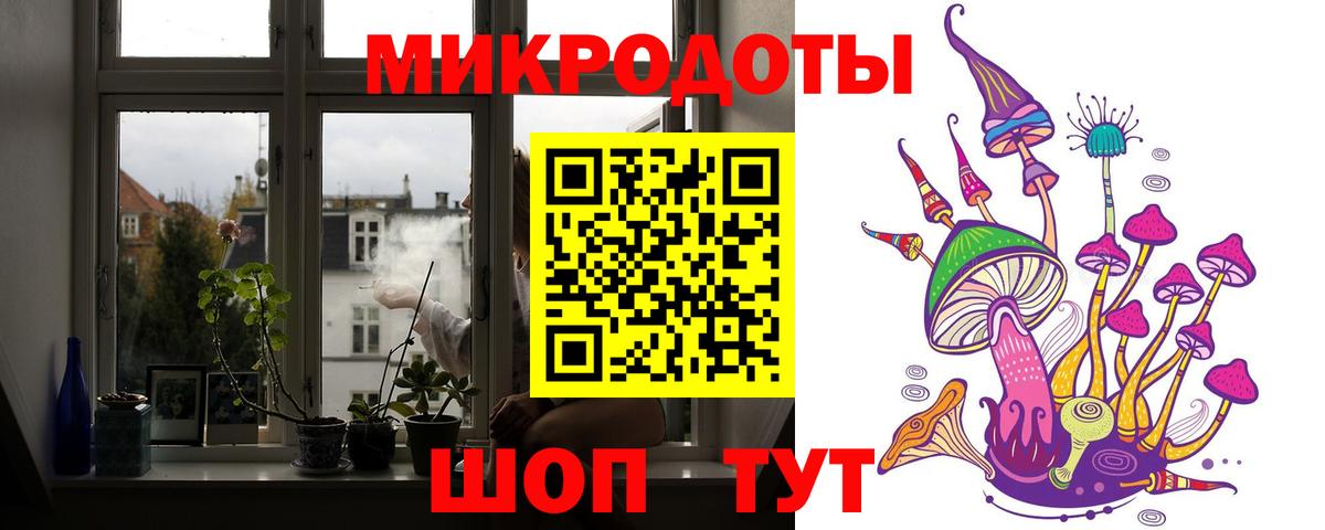 Галлюциногенные грибы Psilocybine cubensis Можайск